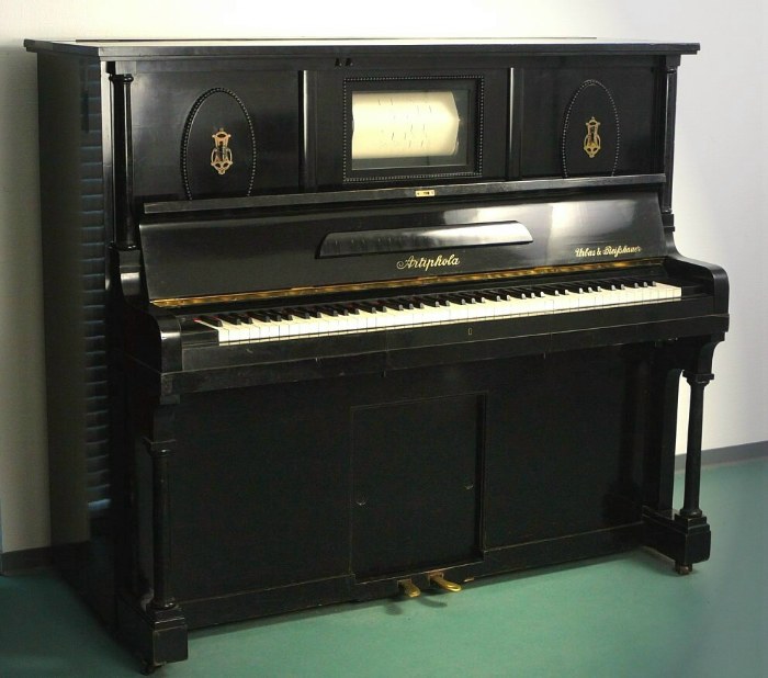 Abbildung der Pianola